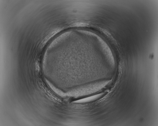 X0000116011209200912101333