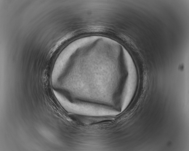 X0000116011210200912101333