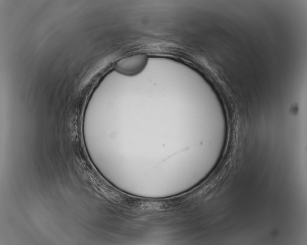 X0000116011211200912101333