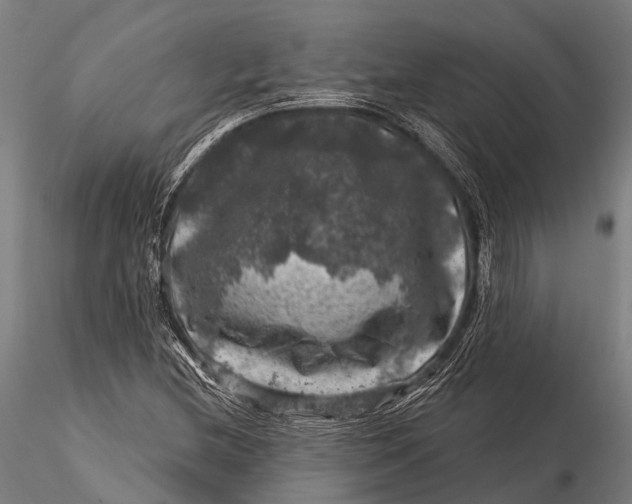 X0000116011212200912101333