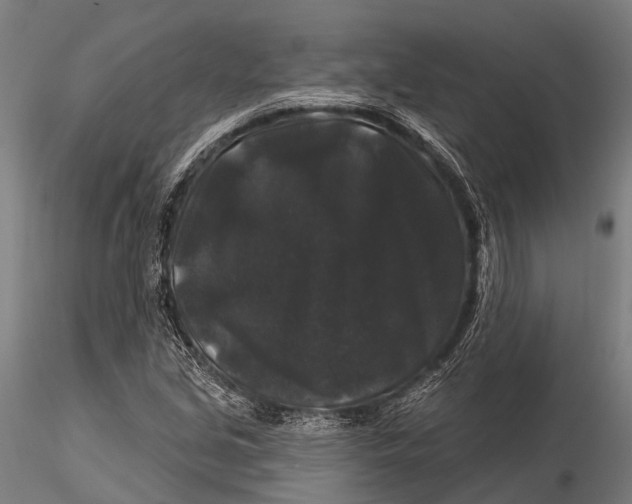 X0000116011213200912101333