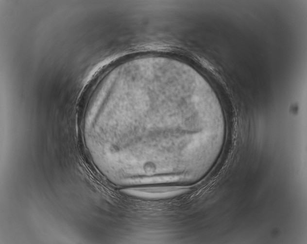 X0000116011214200912101333