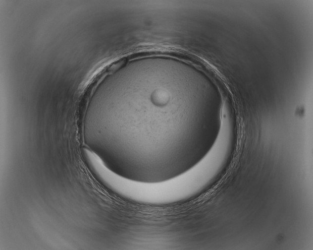 X0000116011215200912101333