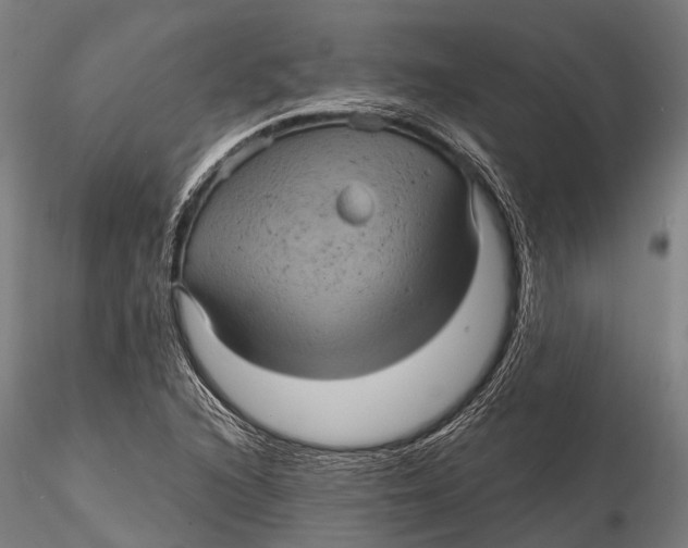 X0000116011216200912101333