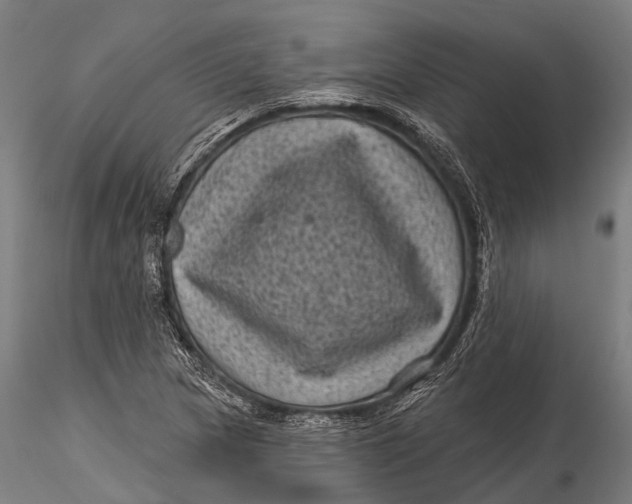 X0000116011217200912101333