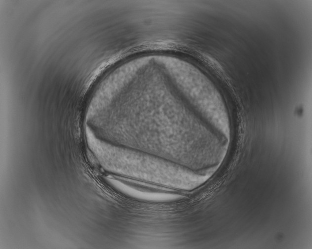 X0000116011218200912101333