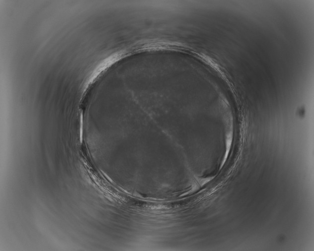 X0000116011219200912101333