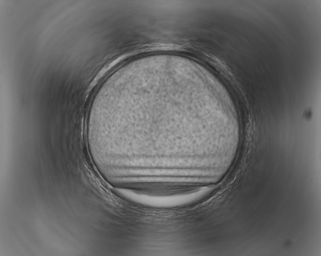 X0000116011220200912101333