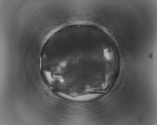 X0000116011221200912101333