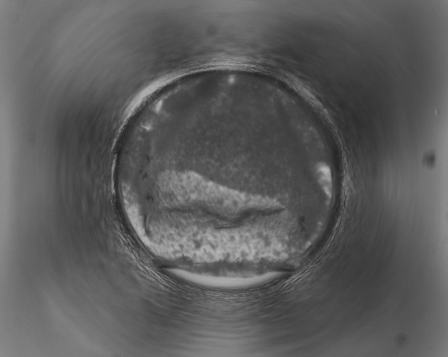 X0000116011222200912101333