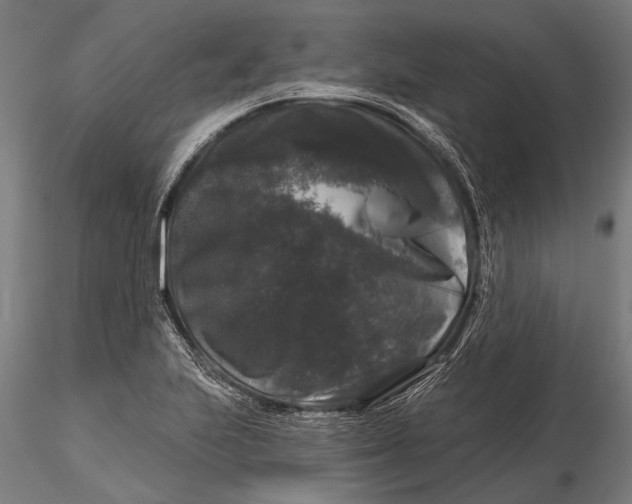 X0000116011223200912101333