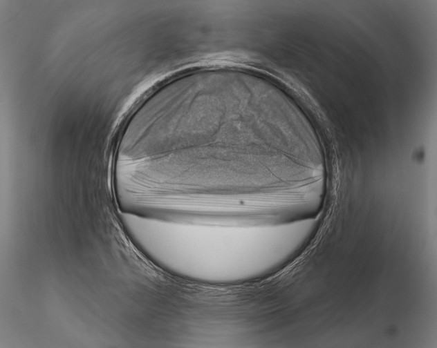 X0000116011224200912101333