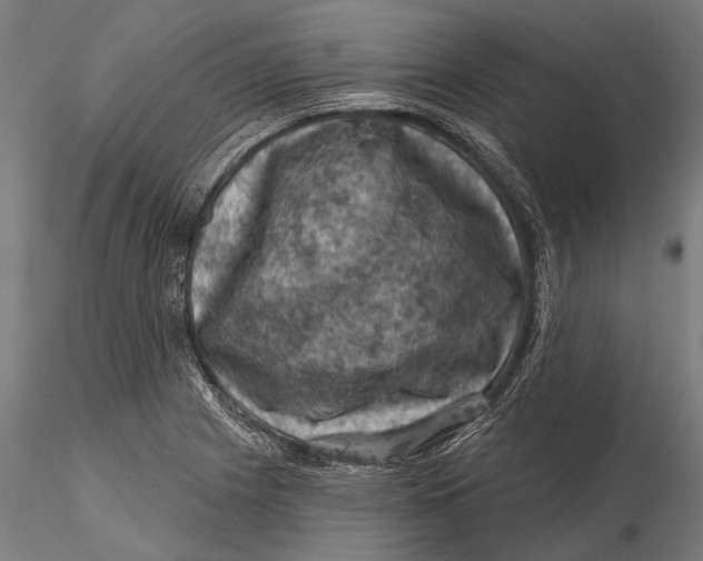 X0000116011225200912101333