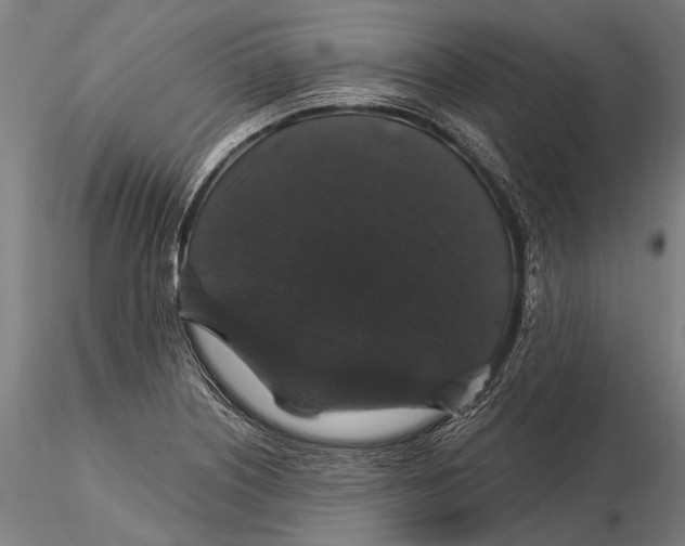 X0000116011226200912101333