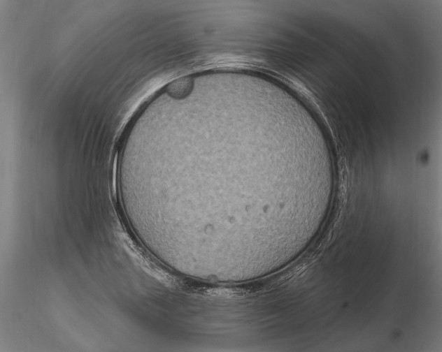 X0000116011227200912101333