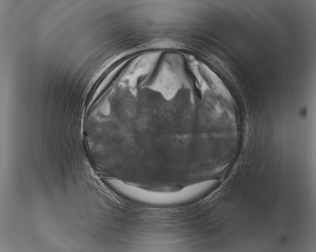 X0000116011228200912101333