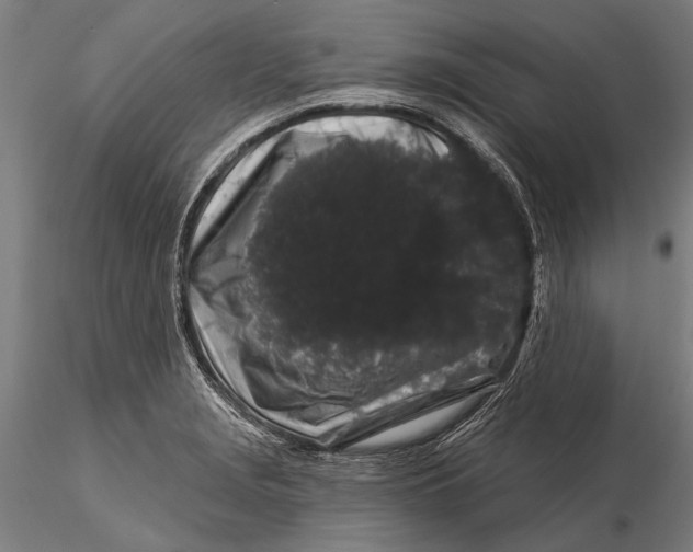 X0000116011229200912101333