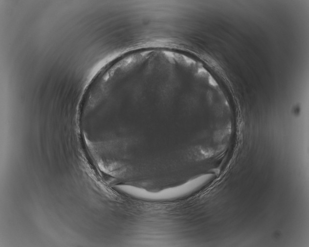 X0000116011230200912101333