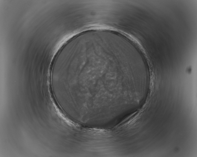 X0000116011231200912101333