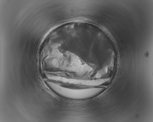 X0000116011232200912101333