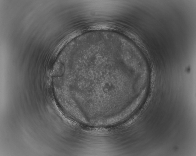 X0000116011233200912101333