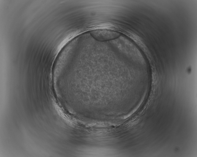 X0000116011234200912101333