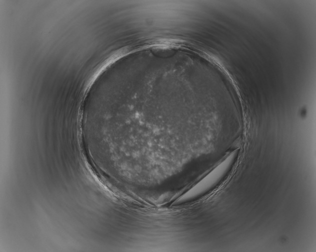 X0000116011235200912101334