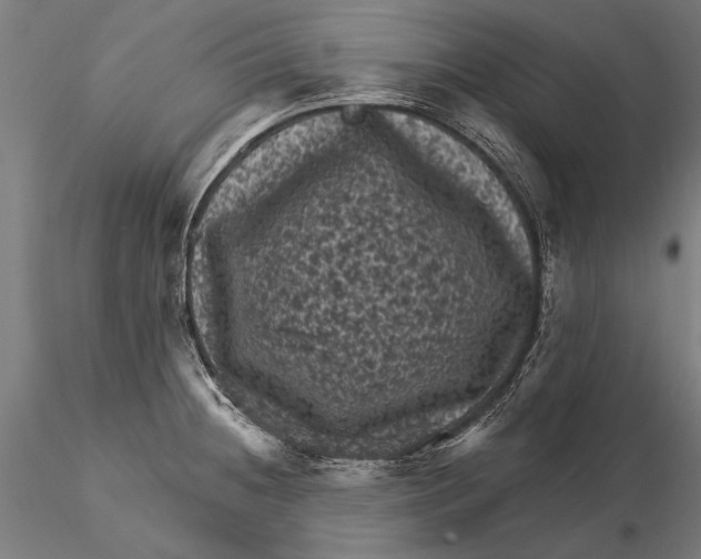 X0000116011236200912101334