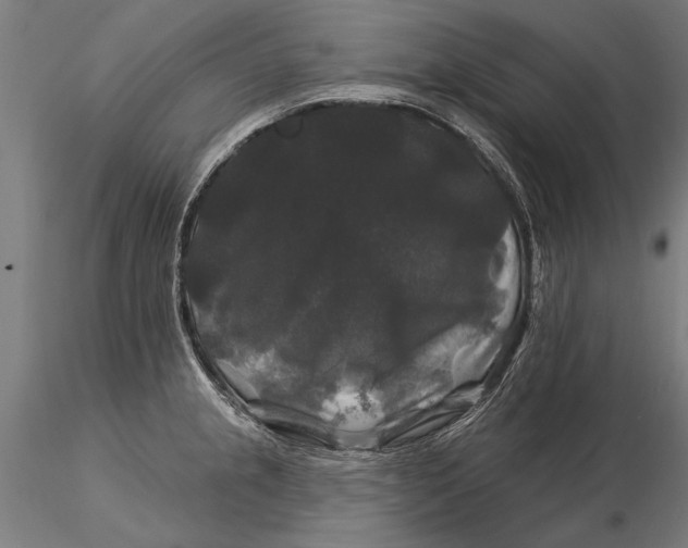 X0000116011237200912101334