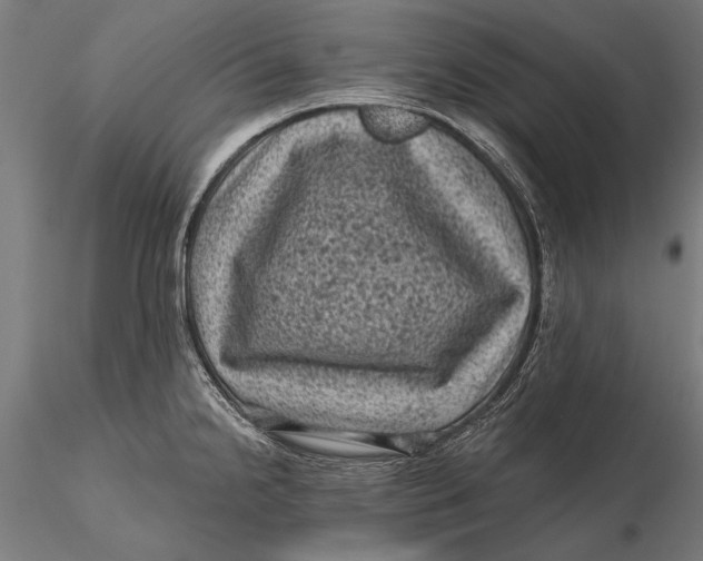 X0000116011238200912101334