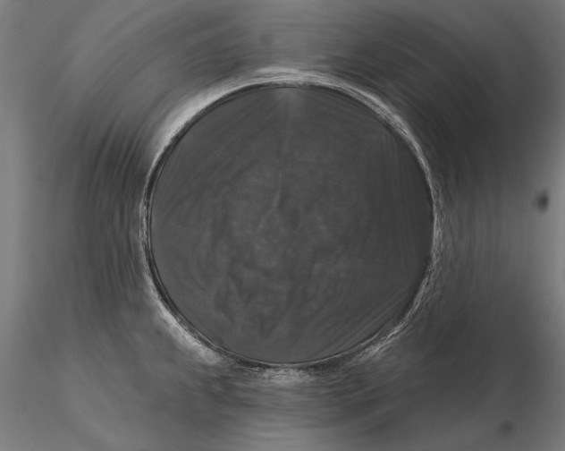 X0000116011239200912101334