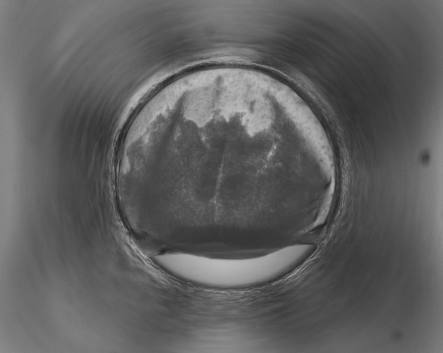 X0000116011240200912101334