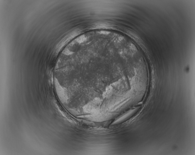 X0000116011241200912101334