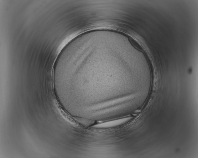 X0000116011242200912101334