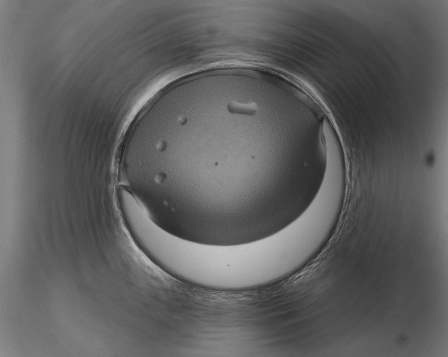 X0000116011243200912101334