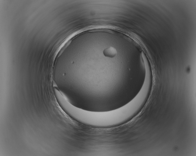 X0000116011244200912101334