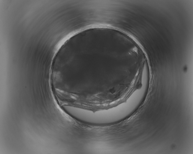 X0000116011245200912101334