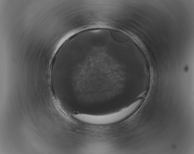 X0000116011246200912101334