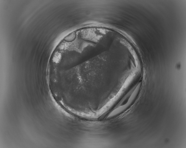 X0000116011247200912101334