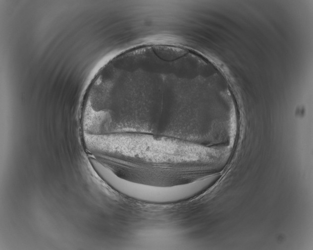 X0000116011248200912101334