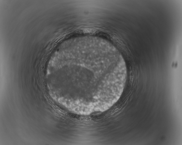 X0000116011249200912101333