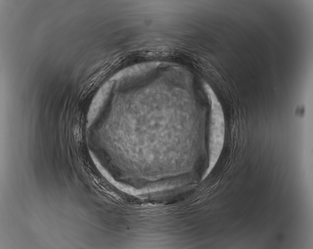 X0000116011250200912101333