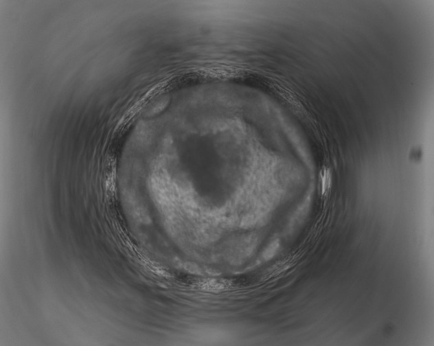 X0000116011251200912101333