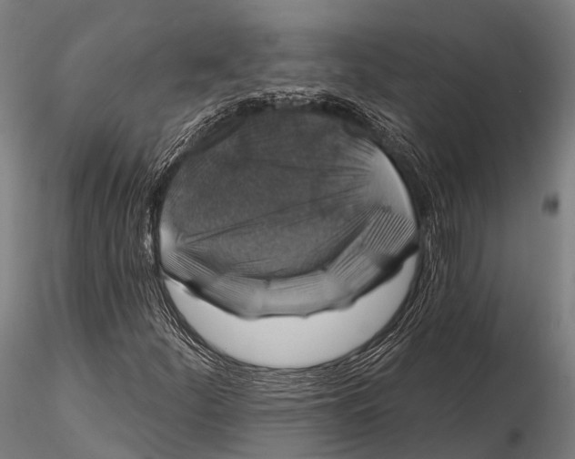 X0000116011252200912101333