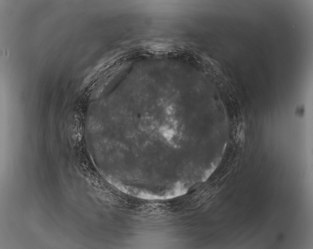 X0000116011253200912101333