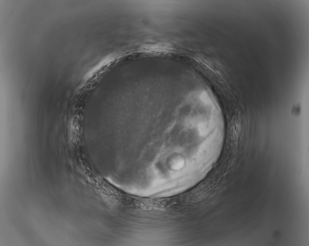 X0000116011254200912101333