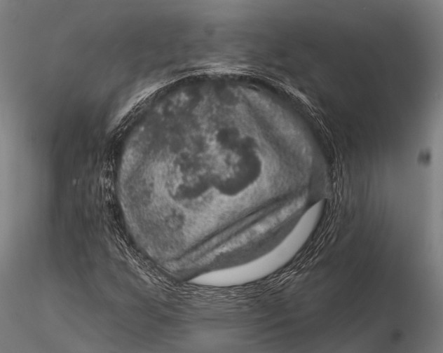 X0000116011255200912101333