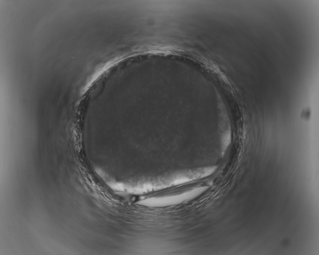 X0000116011256200912101333