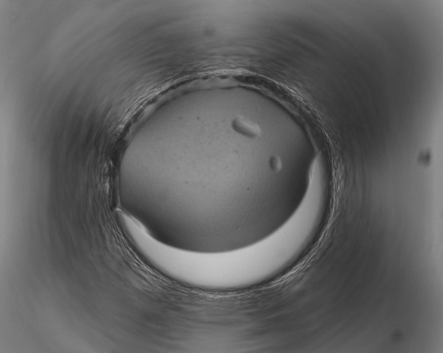 X0000116011257200912101333