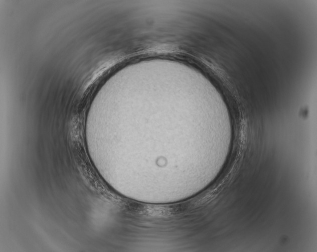 X0000116011258200912101333